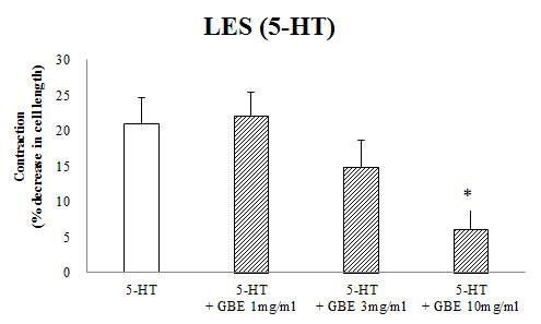 5-HT에 의한 수축반응에 대한 인삼열매 추출물의 효과