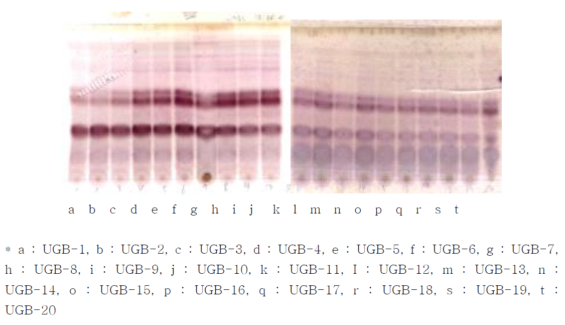 TLC chromatogram of ginsenosides detected from the ginseng berry extracts (UGB)