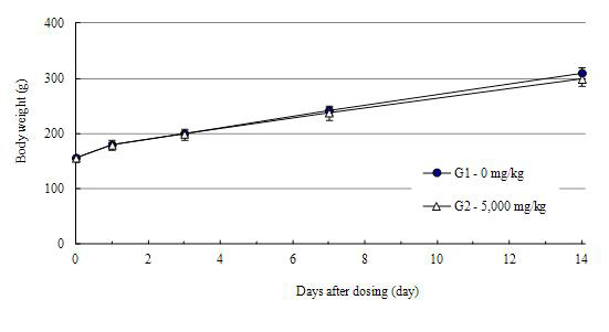 Body Weights in Male SD Rats