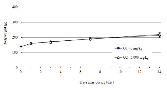 Body Weights in Female SD Rats