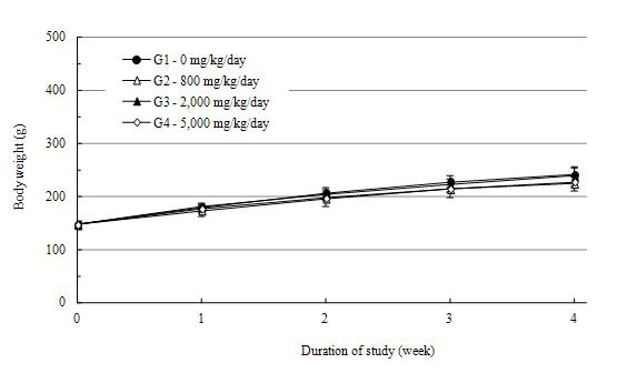 Body Weights in Female SD Rats