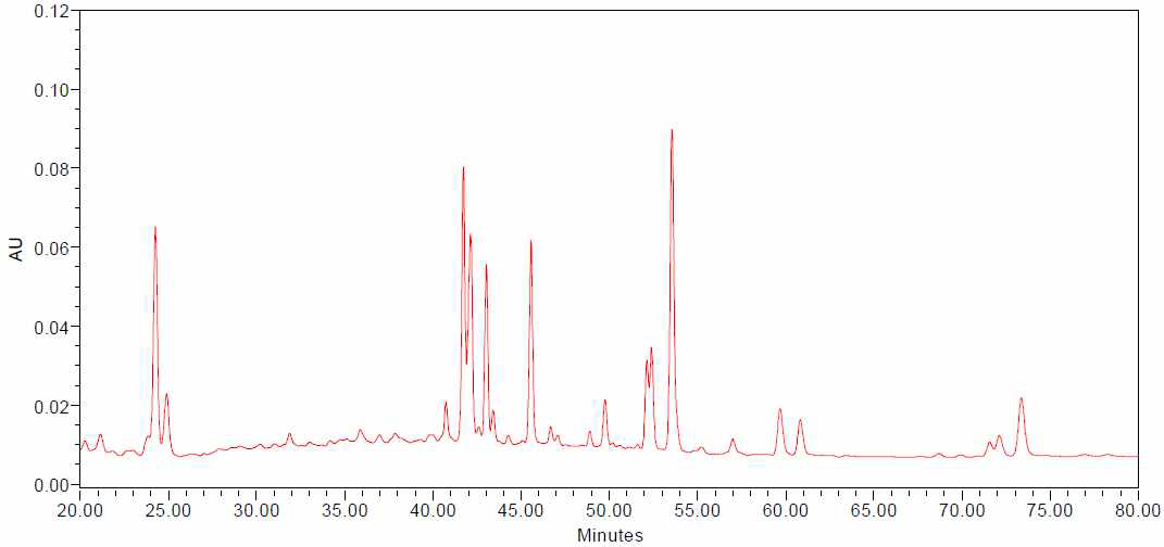 HPLC chromatogram of ginsenosides detected from the ginseng berry extracts processed with ultrasonication for 13 hours (UGB-13)