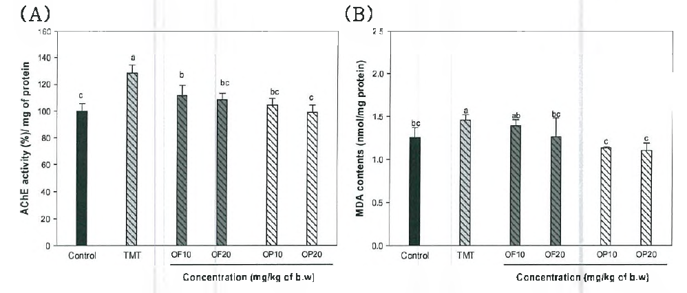Effect of ethyl acetate fraction from onion flesh (OF) and onion peel(OP) of AChE activity (A) and MDA contents(B) from TMT-induced mice brain homogena
