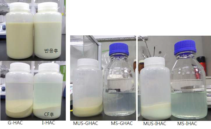 다종 미네럴 대비 GMP 및 IMP를 기질로 하여 M-GHAC, M-IHAC제조 후 및 CF후 성상 비교