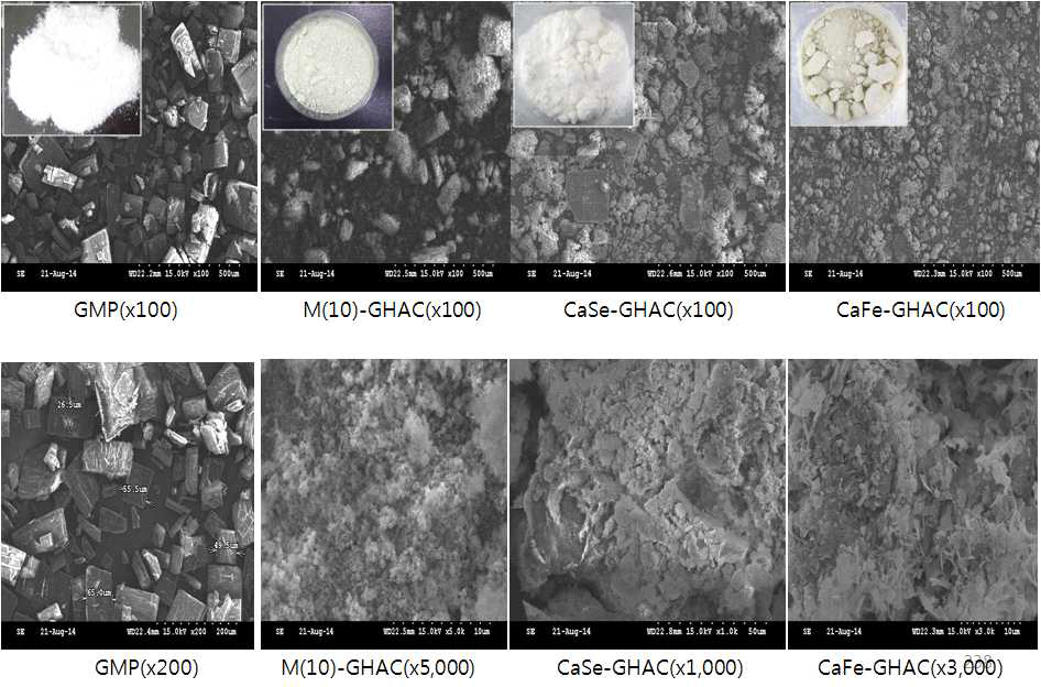 핵산(GMP, 대조) 기질화 2종(Ca, Fe) 미네럴류(소재명 : CaFe-GHAC) 혹은 10종 미네럴류 유기태화(소재명 : M(10)-GHAC)를 제조후 결정구조형성에 따른 입자분포도 평가 결과
