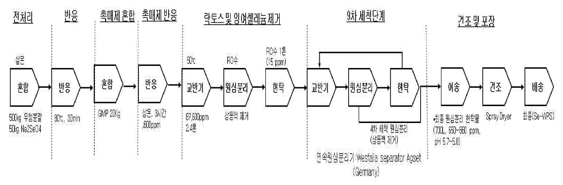 SeWPS-HAC(셀레늄-핵산 유기태화)제조공정도(유청단백질 기질)