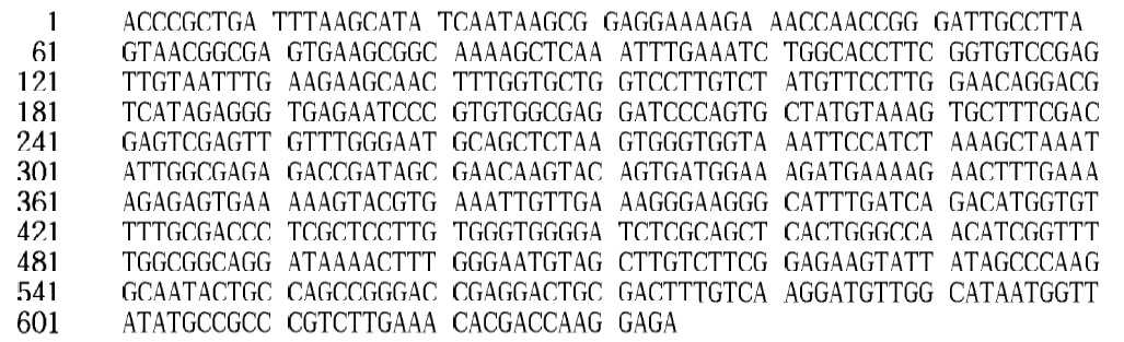 26S rDNA gene sequence of Lachancea fermentati Y67