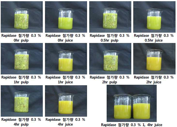 Photograpy of freezed kiwi according to rapidase treat time