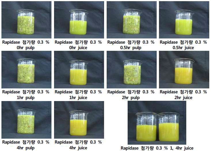 Photograpy of freezed kiwi according to rapidase treat time