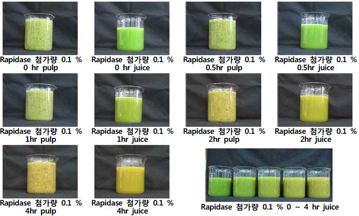 Photograpy of fresh kiwi according to rapidase treat time