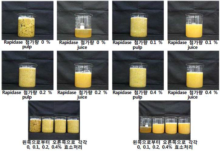 Photpgraph of freezed persimmon according to rapidase treat concentration