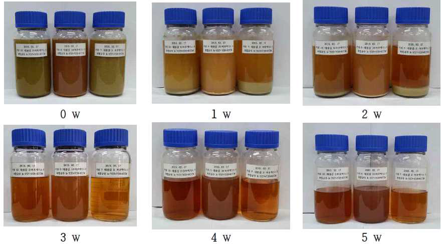 Photograph during fermentation of wild grape extract ratio wine