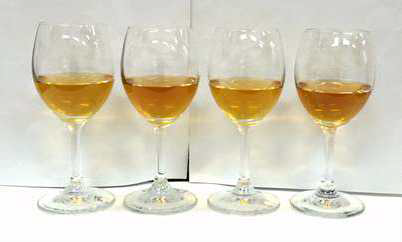Photograph during fermentation of hayward, halla gold, jecy gold and sweet gold wine