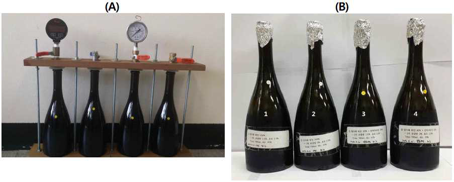 스파클링 와인 내압 테스트(자체 제작, A) 및 스파클링 와인 (B)