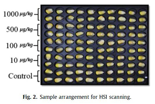 Sample arrangement for Hyperspectral imaging.