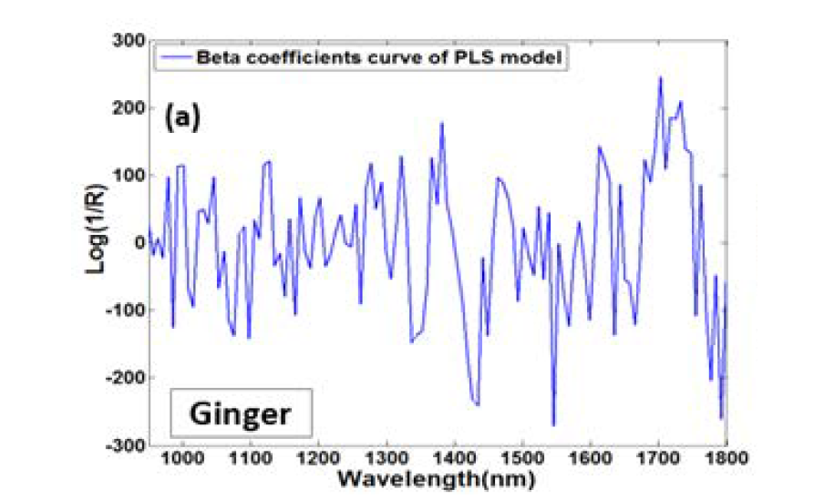 Beta coefficient derived from the PLS-R for SWIR spectral data of ginger.