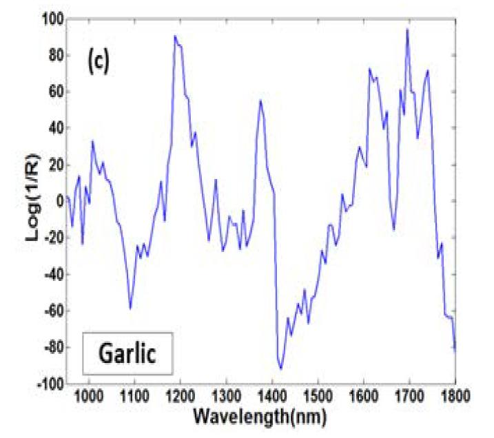 Beta coefficient derived from the PLS-R for SWIR spectral data of garlic.