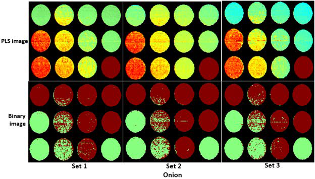 Distribution map for starch from PLS-DA model and corresponding binary image for identification of starch particles/pixels in onion powder.