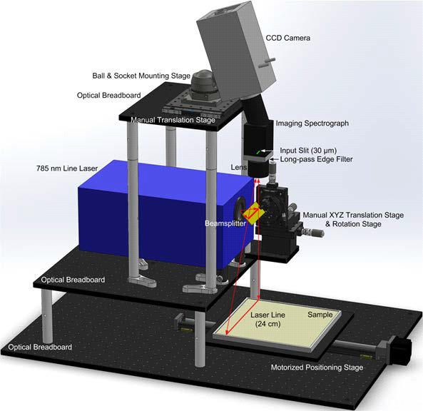Schematic of line-scan Raman imaging system.