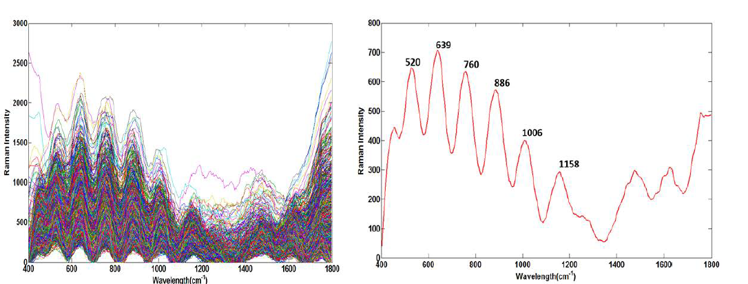 Ginger Raman spectra (left) and mean spectrum (right).