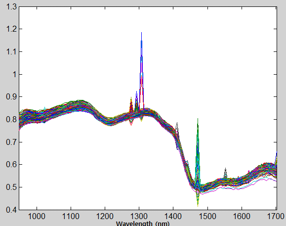 Reflectance spectra of onion and corn starch using SWIR hyperspectral imaging system.