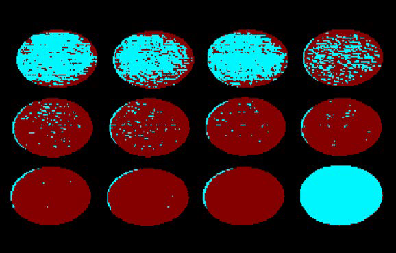 Binary image of PLSR beta projected image with pseudo color.