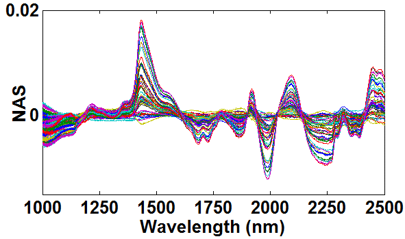 NAS application to raw spectra.