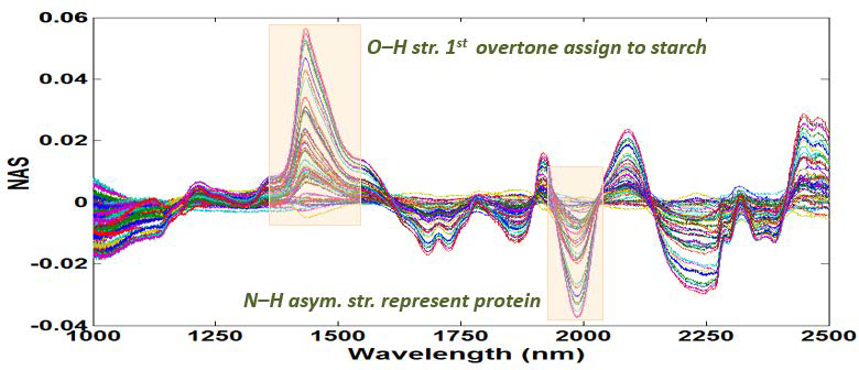NAS of raw spectra and its interpretation.