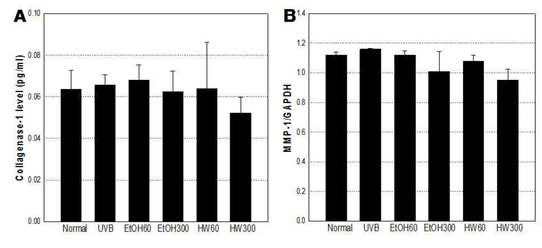 Comparison in collagenase-1 protein(A) activity and MMP-1 mRNA expression(B) of SKH-1 hairless mouse by white rose extract