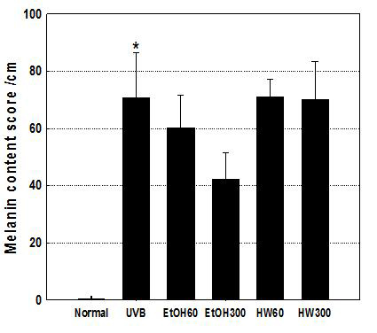 Histological melanin score of dorsal skins of DBA2 mice exposed UVB