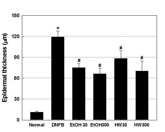 Epidermal thickness changes in DNFB-induced chronic atopic dermatitis