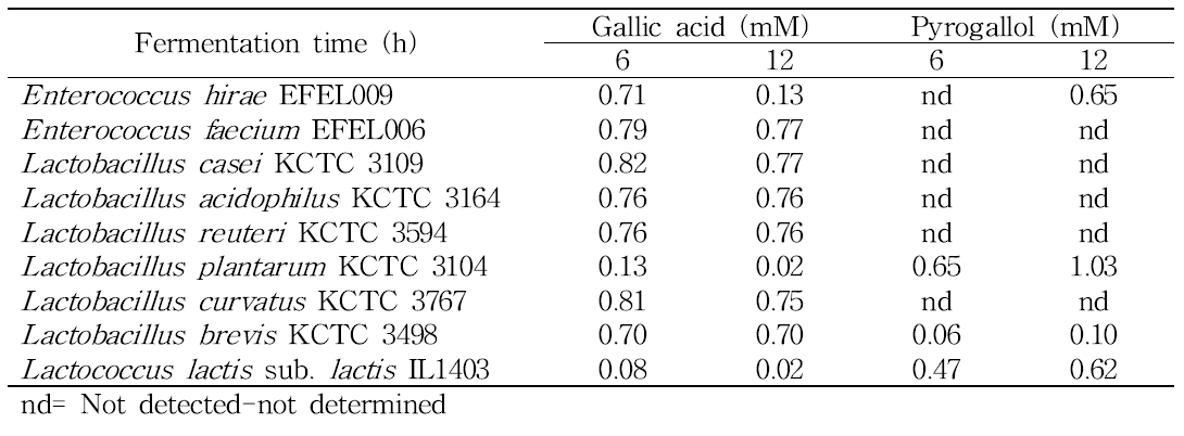 Concentration of gallic acid and pyrogallol in MRS medium supplemented with 1 mM gallic acid for the period of fermentation with LAB