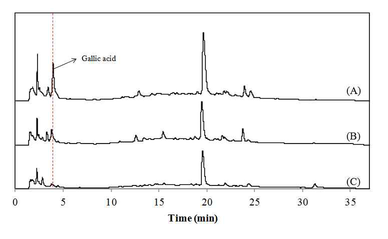 Overlayed chromatograms of gallic acid in white rose extract fermented by human fecal microbiota after 0 (A), 12 (B), and 24 (C) hours analysed by high-performance liquid chromatography