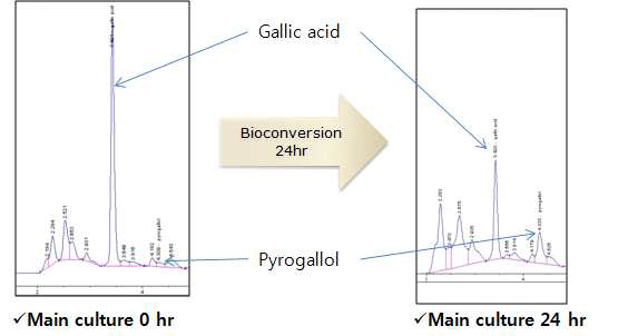 HPLC profile of white rose extract fermented by Lb. plantarum KCTC 3104 in MRS medium after 0, 24hours
