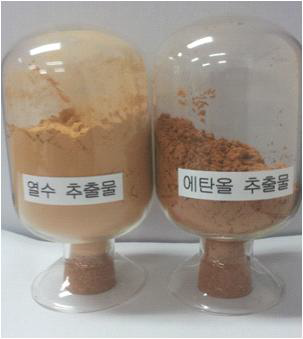 Compare color of hot water extracts and ethanol extracts