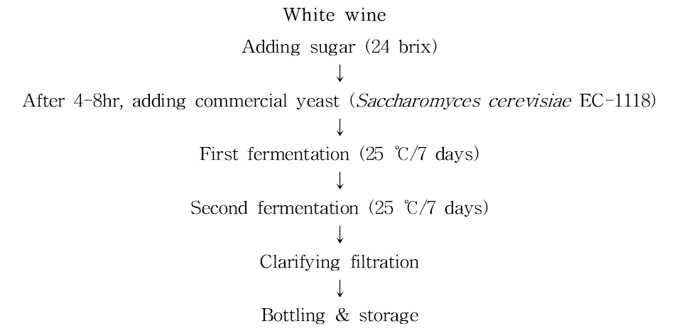 Fermentation scheme for White wine