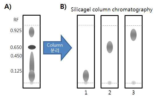 TLC pattern of the primary Ethyl acetate reverse extracts (A), TLC pattern after silicagel column chromatography (B)