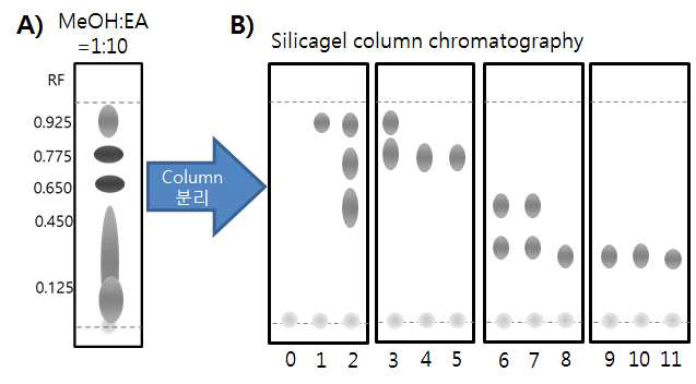 TLC pattern of the secondary Ethyl acetate reverse extracts (A) and separate pattern after silica gel column chromatography