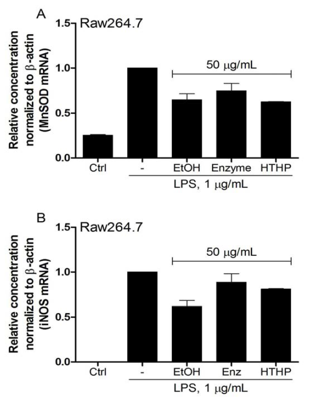 Effects of white rose petal extracts on the mRNA expression in RAW 264.7 macrophages