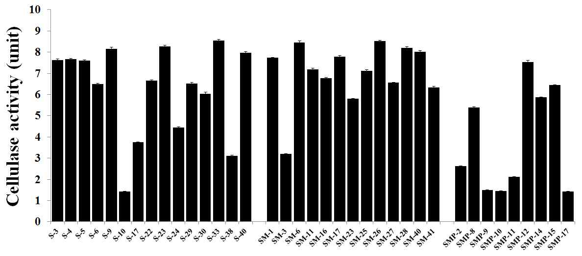 Cellulase activity of sigumjang(S), sigumjang meju(SM), sigumjang meju powder(SMP)