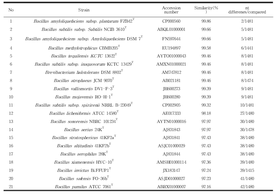 Similarity analysis of S-23 the isolated strain compared with the related taxa