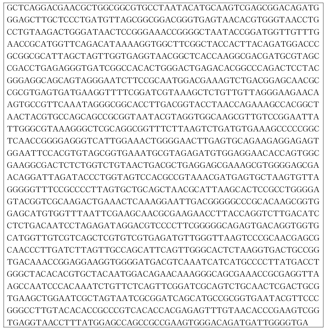 16S rDNA sequences of SM-26