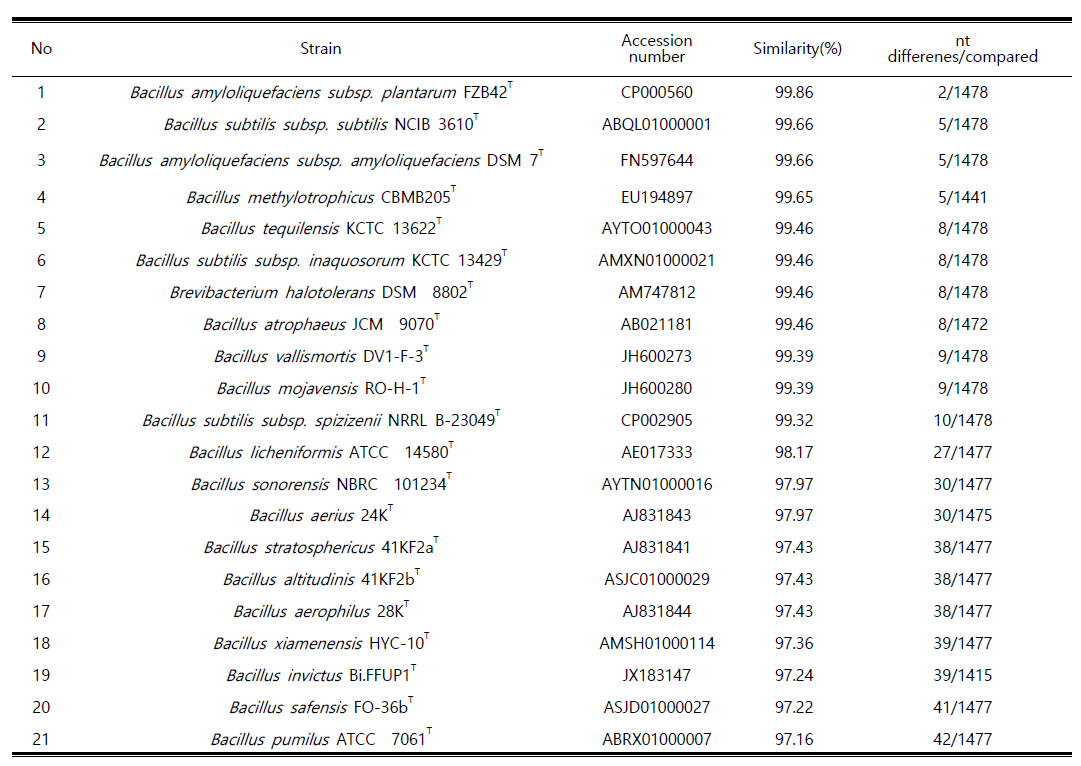 Similarity analysis of SM-26 the isolated strain compared with the related taxa