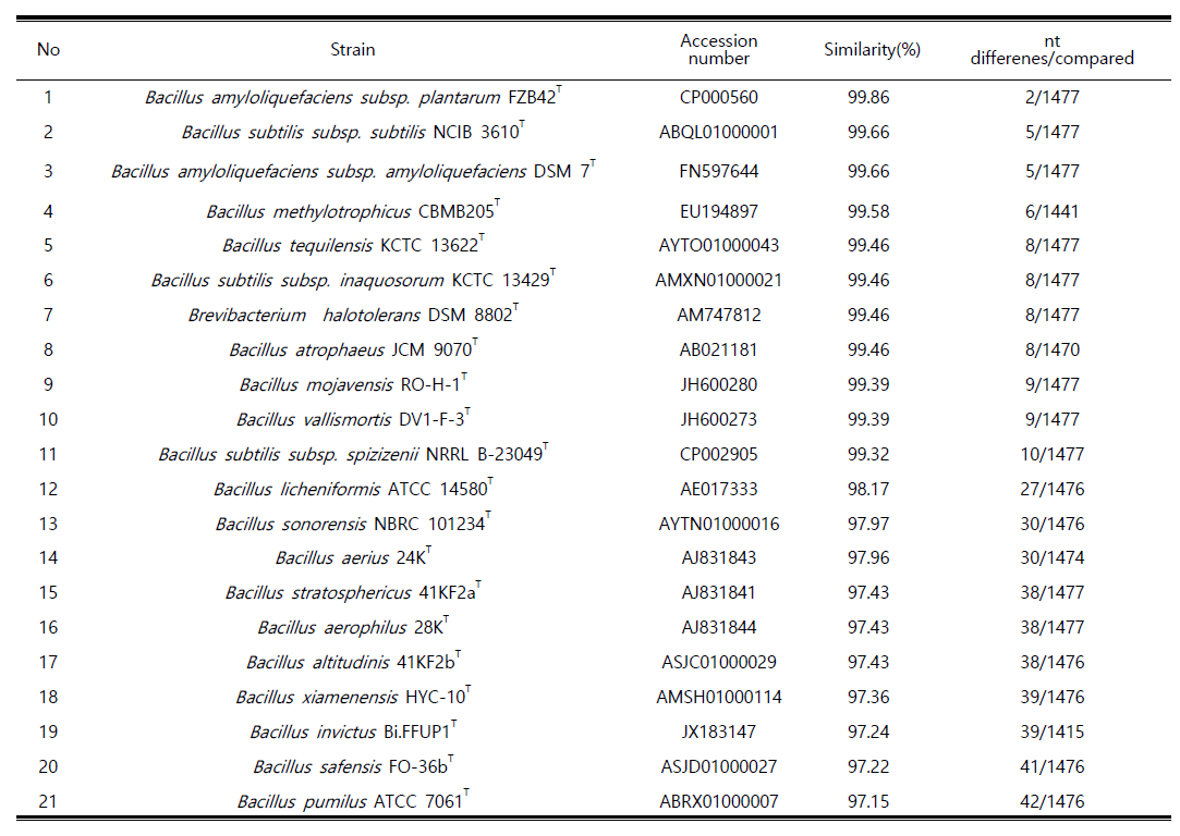 Similarity analysis of SM-40 the isolated strain compared with the related taxa