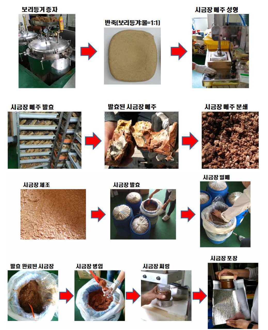 대량생산을 위한 시금장 메주 및 시금장 제조 공정 (현장테스트)