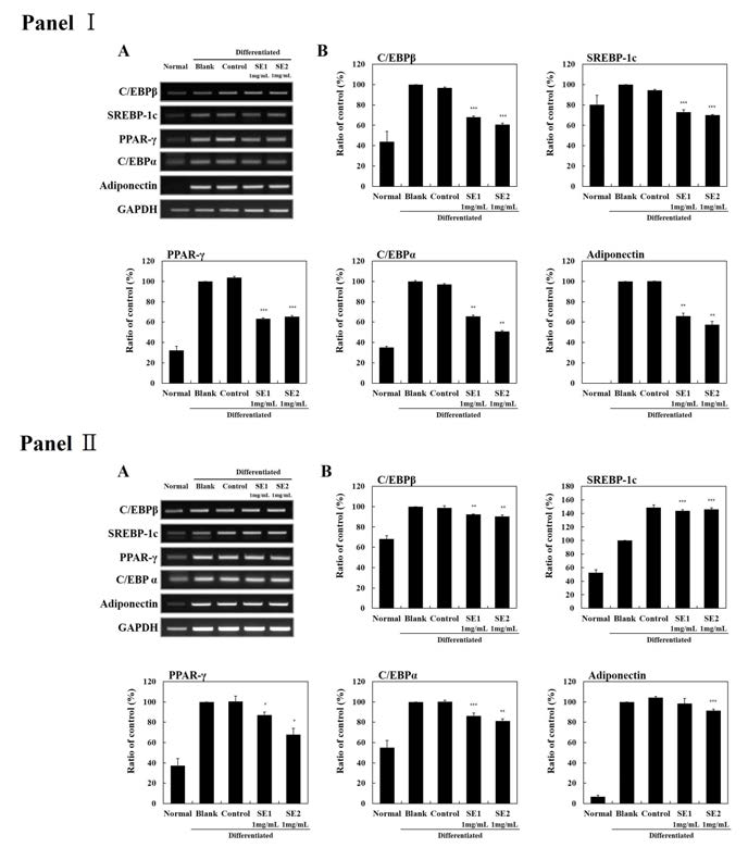 Effect of SEs on mRNA expression of genes related to adipogenesis during differentiation of 3T3-L1 preadipocytes into adipocytes