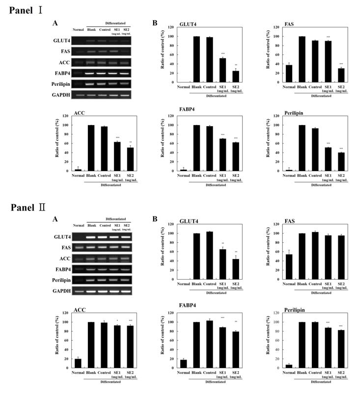 Effect of SEs on mRNA expression of genes related to lipogenesis during differentiation of 3T3-L1 preadipocytes into adipocytes