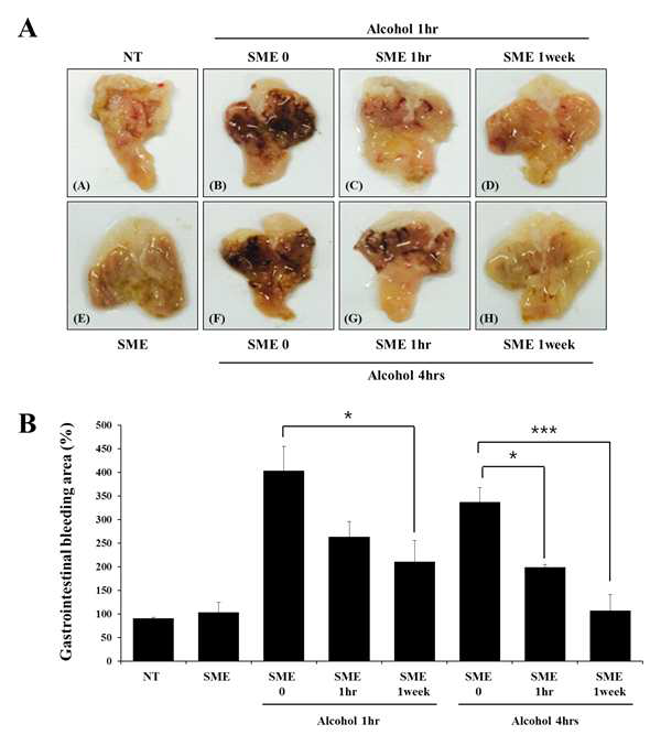 Gross appearance of the gastric damage area in mice