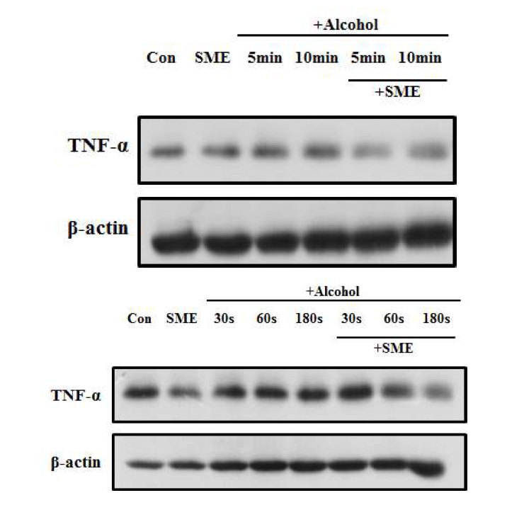 Effects of SME on ethanol-induced inflammatory mediators in NCTC cell