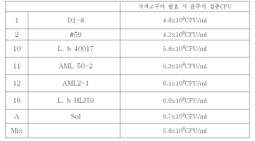 자색고무마 발효 시 접종균수